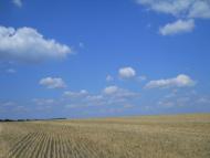 Кошляки з panoramio.com