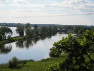 Дрозди з panoramio.com