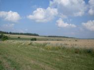 Кузьминці з panoramio.com