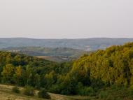 Ільниця з panoramio.com