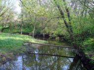 Раєво-Олександрівка з panoramio.com