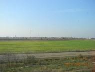 Сонячне з panoramio.com