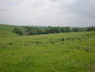 Хмелиська з panoramio.com