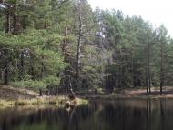 Космачів з panoramio.com