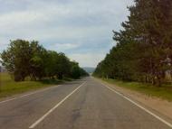 Сирень з panoramio.com