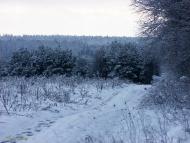 Руська Гута з panoramio.com