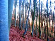 Демня з panoramio.com