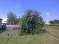 Новоганнівка з panoramio.com