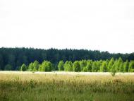 Малійки з panoramio.com