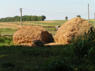 Остапівка з panoramio.com