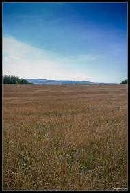 Ходорів з panoramio.com