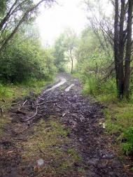 Бірки з panoramio.com