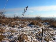 Лопушня з panoramio.com