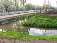 Яблуневе з panoramio.com