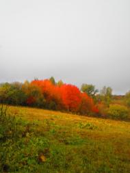 Чудинівці з panoramio.com