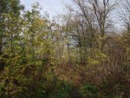 Асланове з panoramio.com