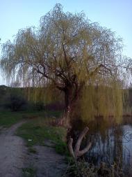Козятин з panoramio.com - Kozyatyn