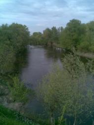 Білики з panoramio.com