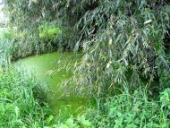 Старосілля з panoramio.com