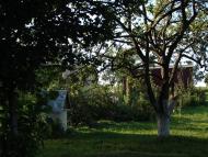 Максимівка з panoramio.com