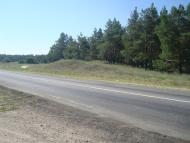 Піщанівка з panoramio.com