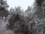 Руська Гута з panoramio.com