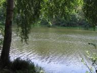 Кулики з panoramio.com