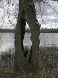 Майданецьке з panoramio.com