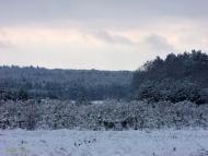 Руська Гута з panoramio.com