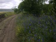 Юр'ївка з panoramio.com