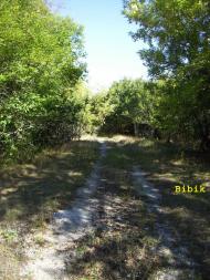 Губин з panoramio.com