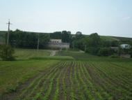 Хмелиська з panoramio.com