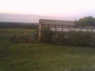 Черняки з panoramio.com