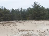 Великі Телковичі з panoramio.com