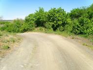 Садовий з panoramio.com