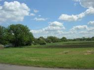 Свистунове з panoramio.com