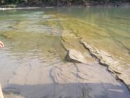 Саджавка - Останні фото