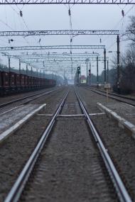 Ірша з panoramio.com