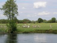 Угриничі з panoramio.com