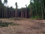 Карпівці з panoramio.com