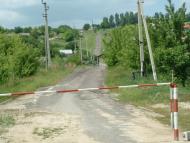 Дубове з panoramio.com