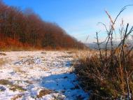 Лопушня з panoramio.com