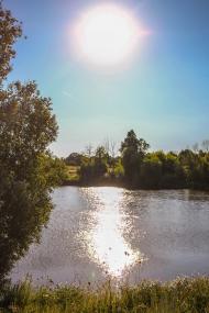 Краснопілка з panoramio.com