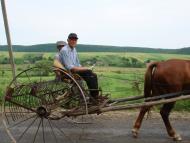 Дунаїв з panoramio.com