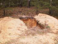 Скрипаї з panoramio.com