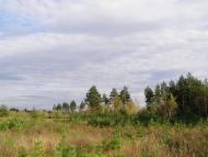 Смолянинове з panoramio.com