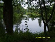 Медведівка з panoramio.com