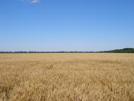 Поділля - Останні фото