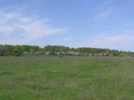 Березівка з panoramio.com