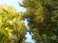 Вишнопіль з panoramio.com